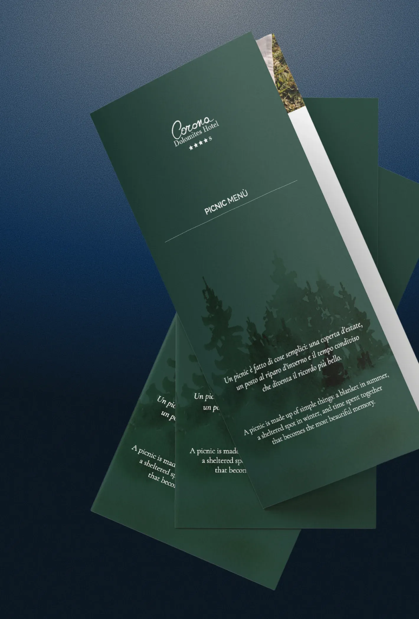 Materiale stampato coordinato del progetto