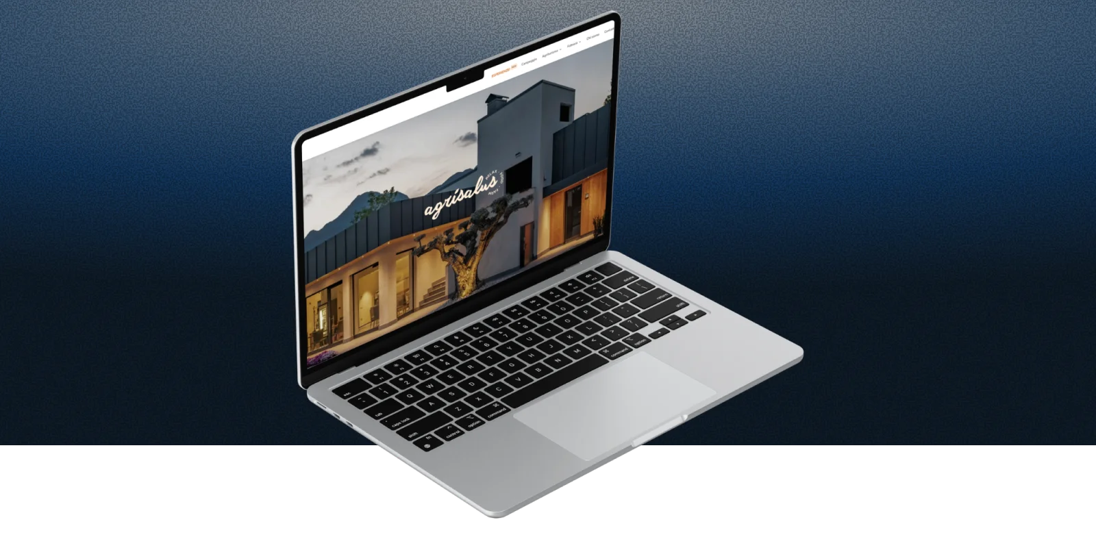 Agrisalus - mockup sito